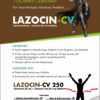 lazocin-cv 250, allenge india, allenge india panchkula